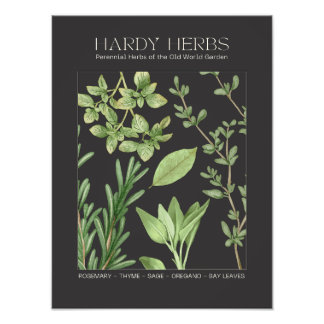 Photo Impression botanique d'herbes robustes