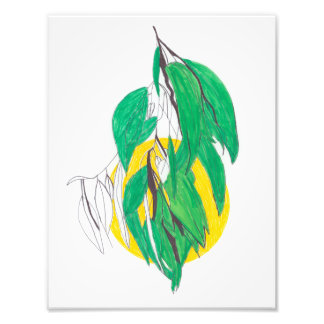 Photo Impression de feuille d'eucalyptus