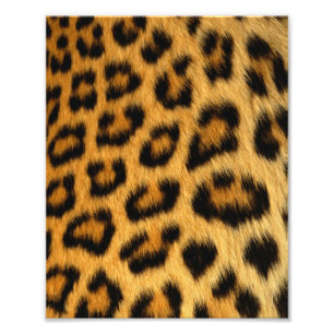 Photo Impression de fourrure Leopard