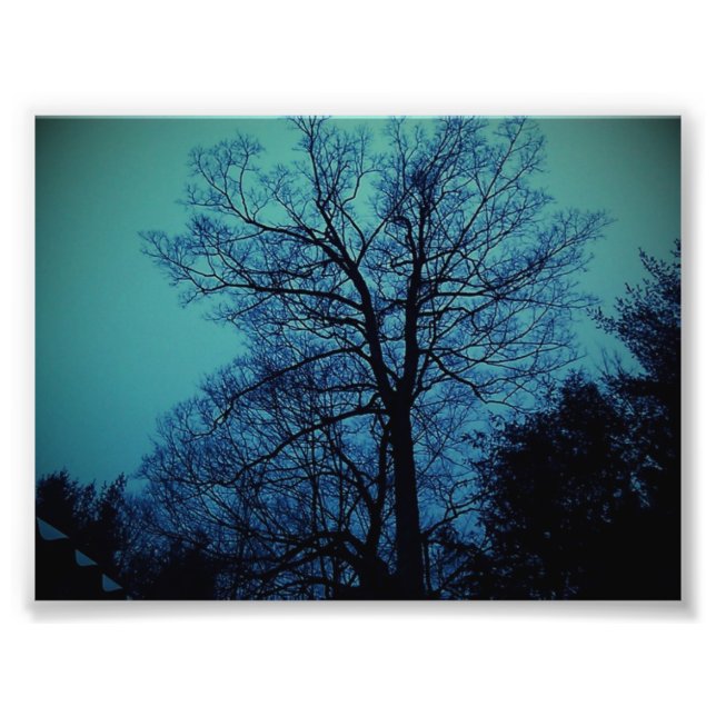 Photo Impression de l'arbre Spock (Devant)