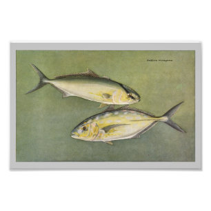 Photo Impression de poisson Vintage jaune et orange