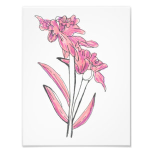 Photo Impression d'orchidée rose