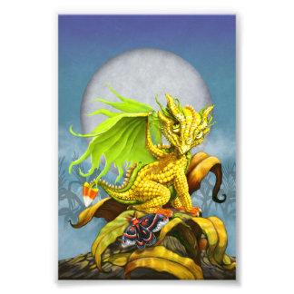 Photo Impression Dragon 4x6 corné