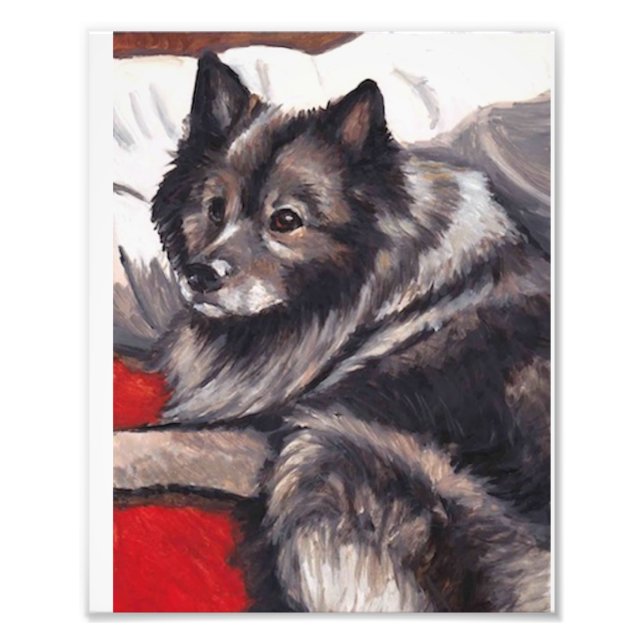 Photo Impression Keeshond Chien Art (Devant)