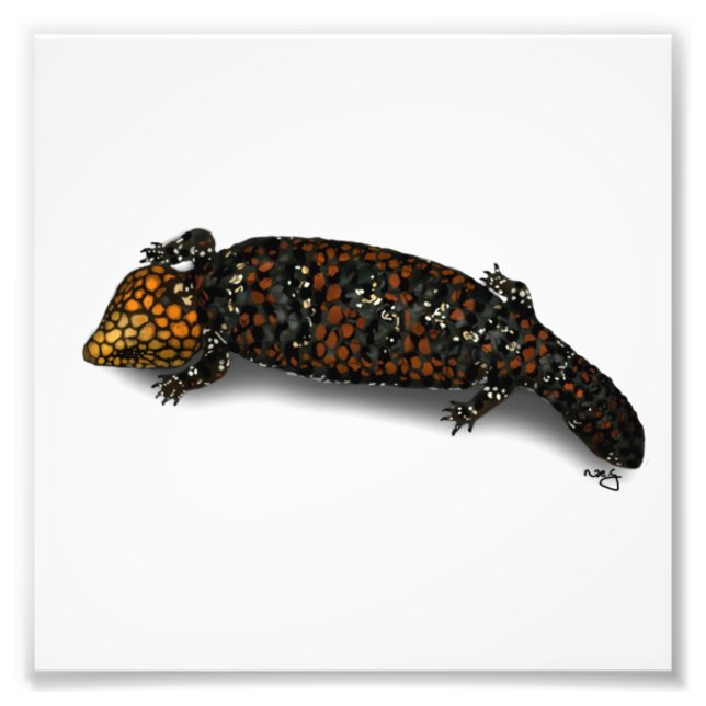 Photo Impression Lizard à fond doré (Devant)