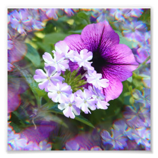 Photo Impression photographique de fleurs violettes et b