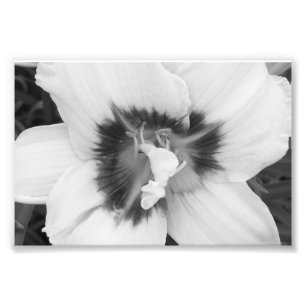 Photo Impression photographique Lily
