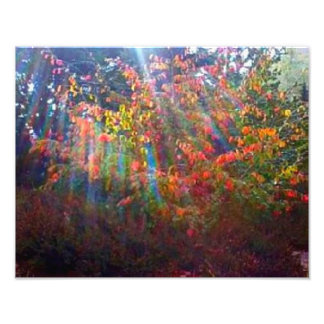 Photo Impression Sun Rays