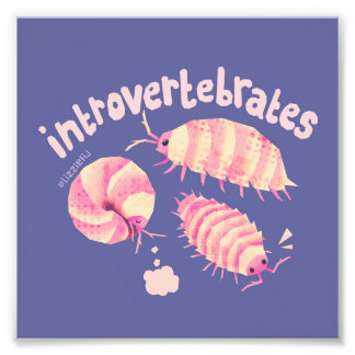 Photo Introvertebrates isopods - petite impression d'art