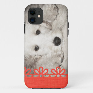 Photo iPhone 5 Coque