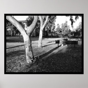 photo IV portfolio #5 Poster