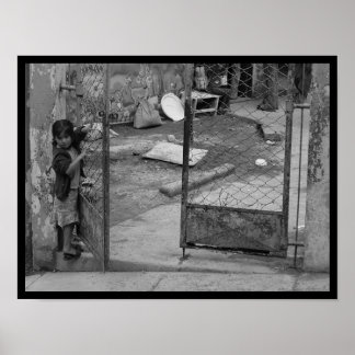 photo IV portfolio #8 Poster