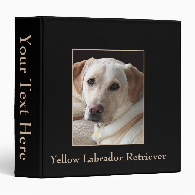 Photo jaune de labrador retriever sur 2" classeur (Devant/Côté)