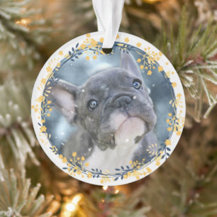 Photo Keepsaké Baby's ou Pet's First Hanoukka Phot