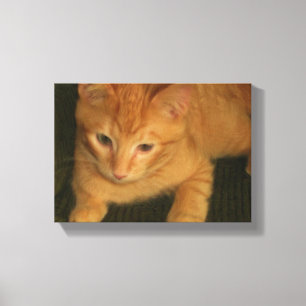 Photo Kitty sur Toile