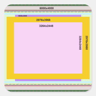 Photo L Square Sticker