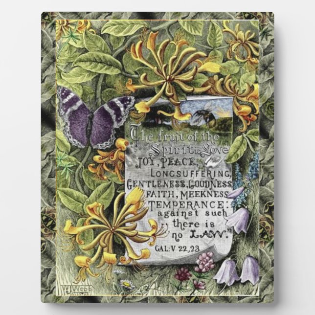 Photo Le Fruit De La Plaque Spirit (Devant)