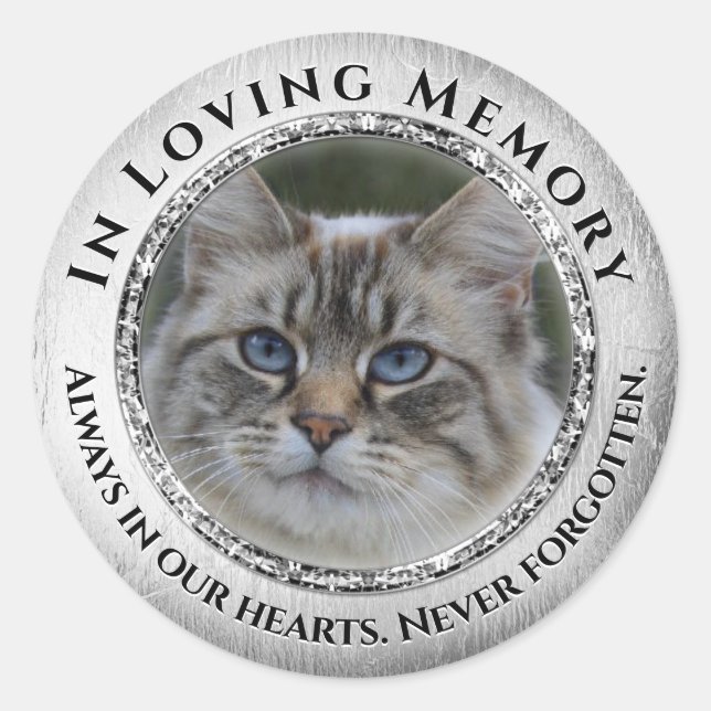 Photo Love Memory Chat / Sticker pour animaux de c (Devant)