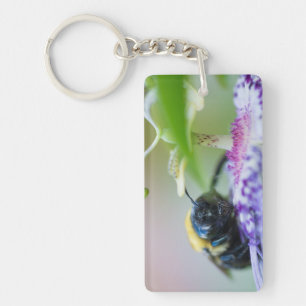 Photo macro de Bumble Bee