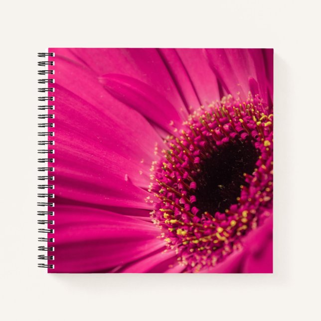 Photo, macro notebook (Front)