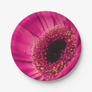 Photo, macro paper plate