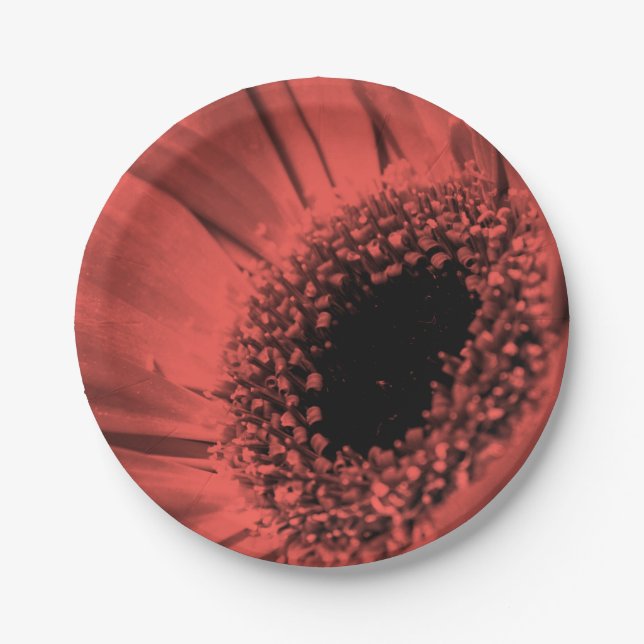 Photo, macro paper plate (Front)