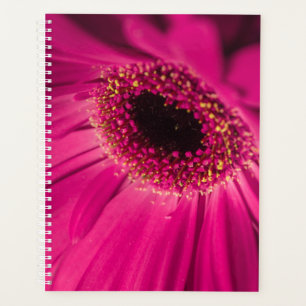 Photo, macro planner