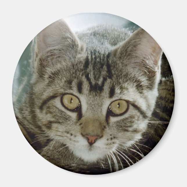 photo magnet - customize with your own pet (Front)