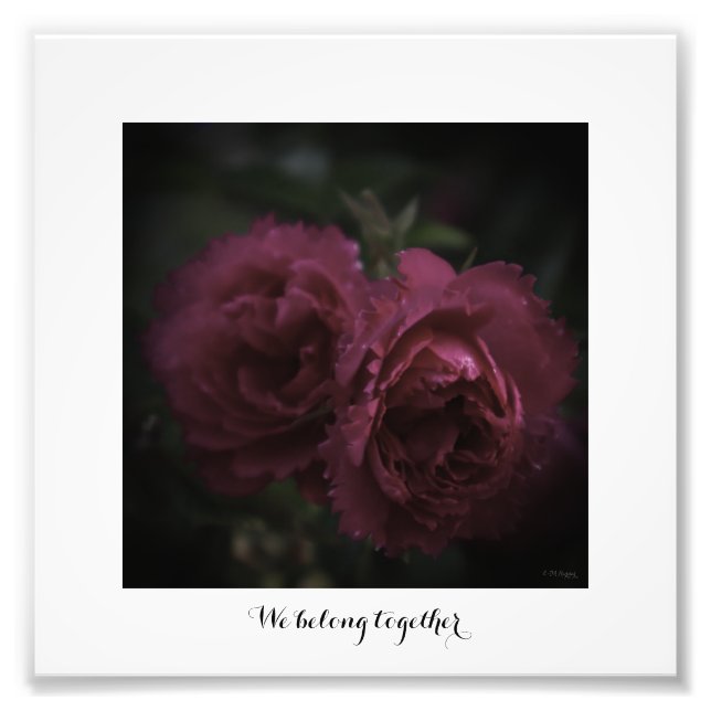 Photo magnification We belong together Print (Front)