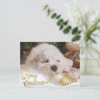 Photo Merry Christmas Snow Overlay Budget Gold