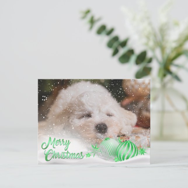 Photo Merry Christmas Snow Overlay Budget Green Holiday Postcard (Standing Front)