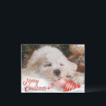 Photo Merry Christmas Snow Overlay Budget Holiday Postcard<br><div class="desc">Customize this budget holiday postcard with your own favourite photo.  We’ve added a snow overlay & Merry Christmas accent layer.  Perfect t for all your family & friends.</div>