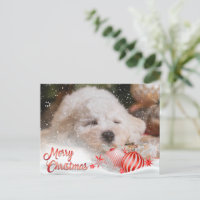Photo Merry Christmas Snow Overlay Budget
