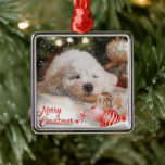 Photo Merry Christmas Snow Overlay Metal Ornament<br><div class="desc">Customize this holiday tree ornament with your own favourite photo.  We’ve added a snow overlay & Merry Christmas accent layer.  Perfect for all your family & friends.</div>