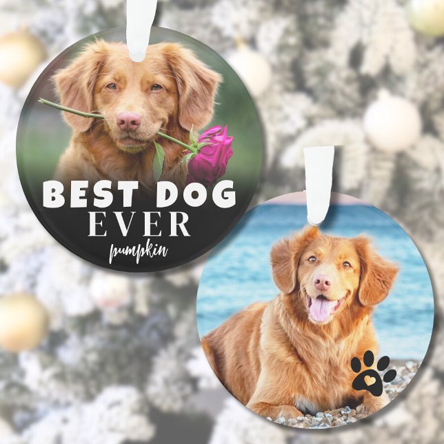 Photo moderne personnalisé du meilleur chien migno (Personalized Cute Best Dog Photo Ornament )