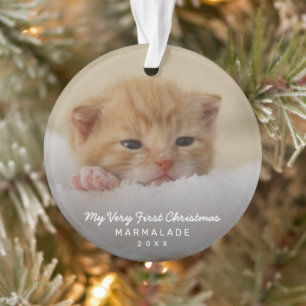 Photo moderne simple Kitten Chat Noël