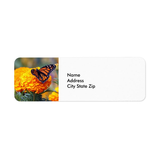 Photo Monarch Butterfly Marigold (Devant)