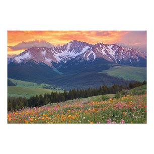 Photo Montagnes et Impression de Fleurs Sauvages Colorad