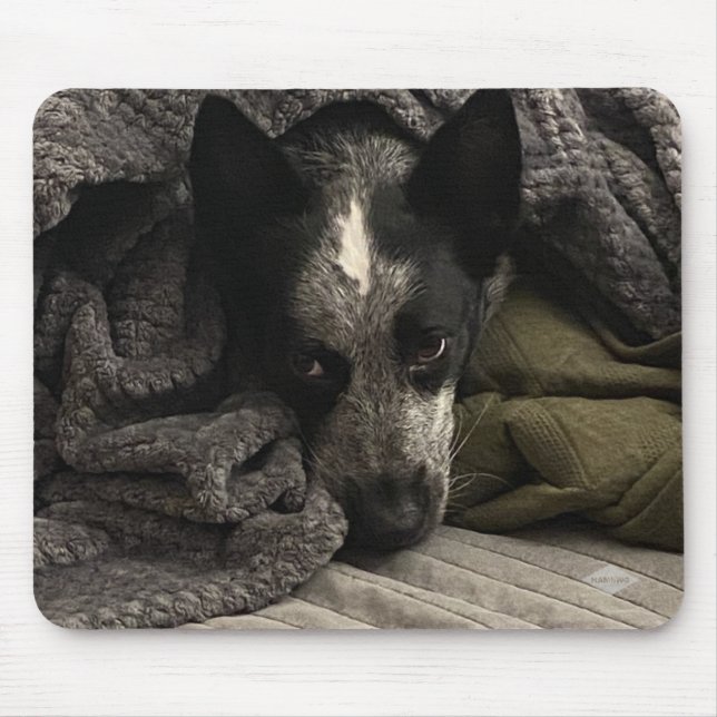 Photo Mouse Pad - HAMbyWG (Front)