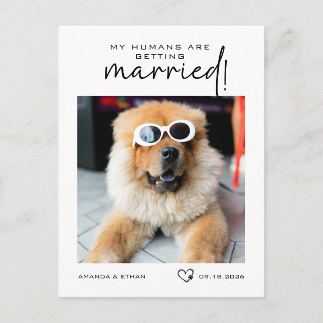 Photo My Humans Are Getting Married Save the Date Announcement Postcard (Front)