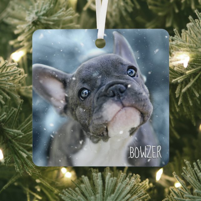 Photo + Name 🐶🐱 Personalized Best Dog or Puppy Metal Ornament (Insitu)