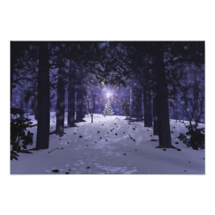 Photo Noël dans les pins