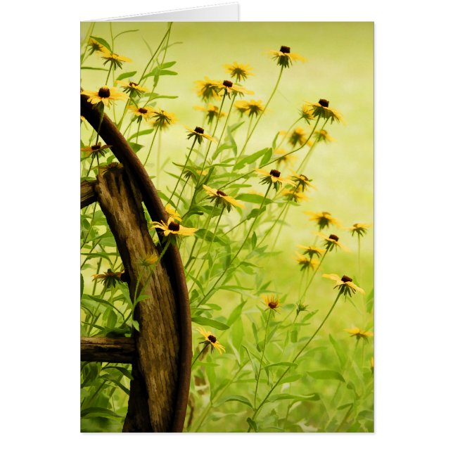 Photo Noir-Eyed de Susan et de roues (Devant)