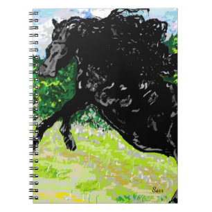 Photo Note Livre noir Stallion