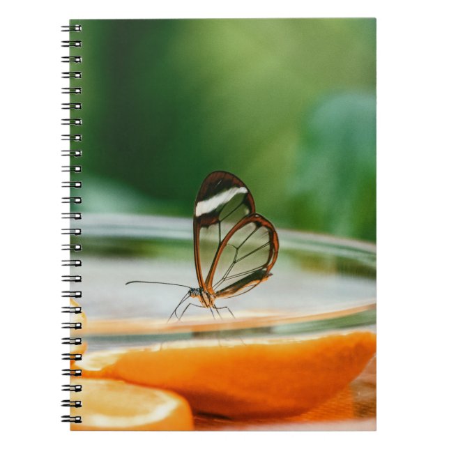 Photo Notebook (80 Pages B&W) (Front)