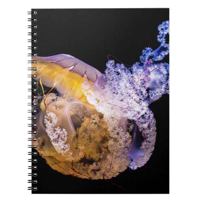 Photo Notebook (80 Pages B&W) (Front)