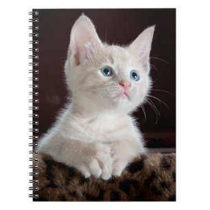 Photo Notebook (80 Pages B&W)