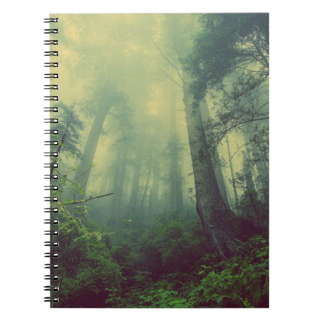 Photo Notebook (80 Pages B&W) (Front)