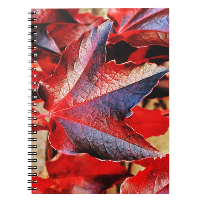 Photo Notebook (80 Pages B&W) (Front)