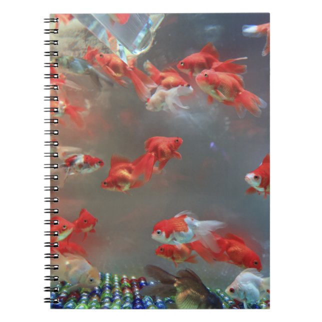 Photo Notebook (80 Pages B&W) (Front)